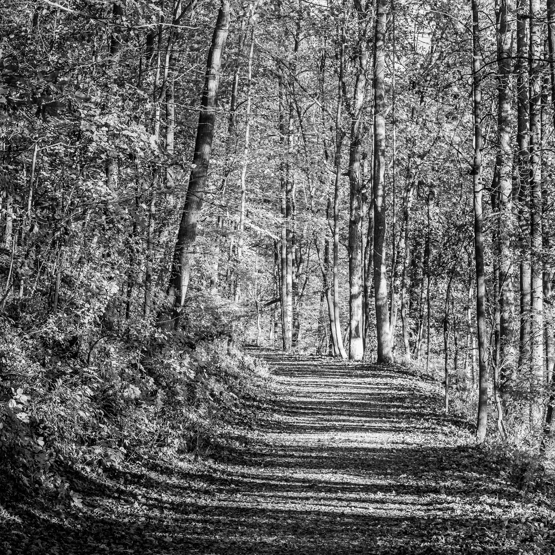 Maryland, Rockville: Lake Needwood