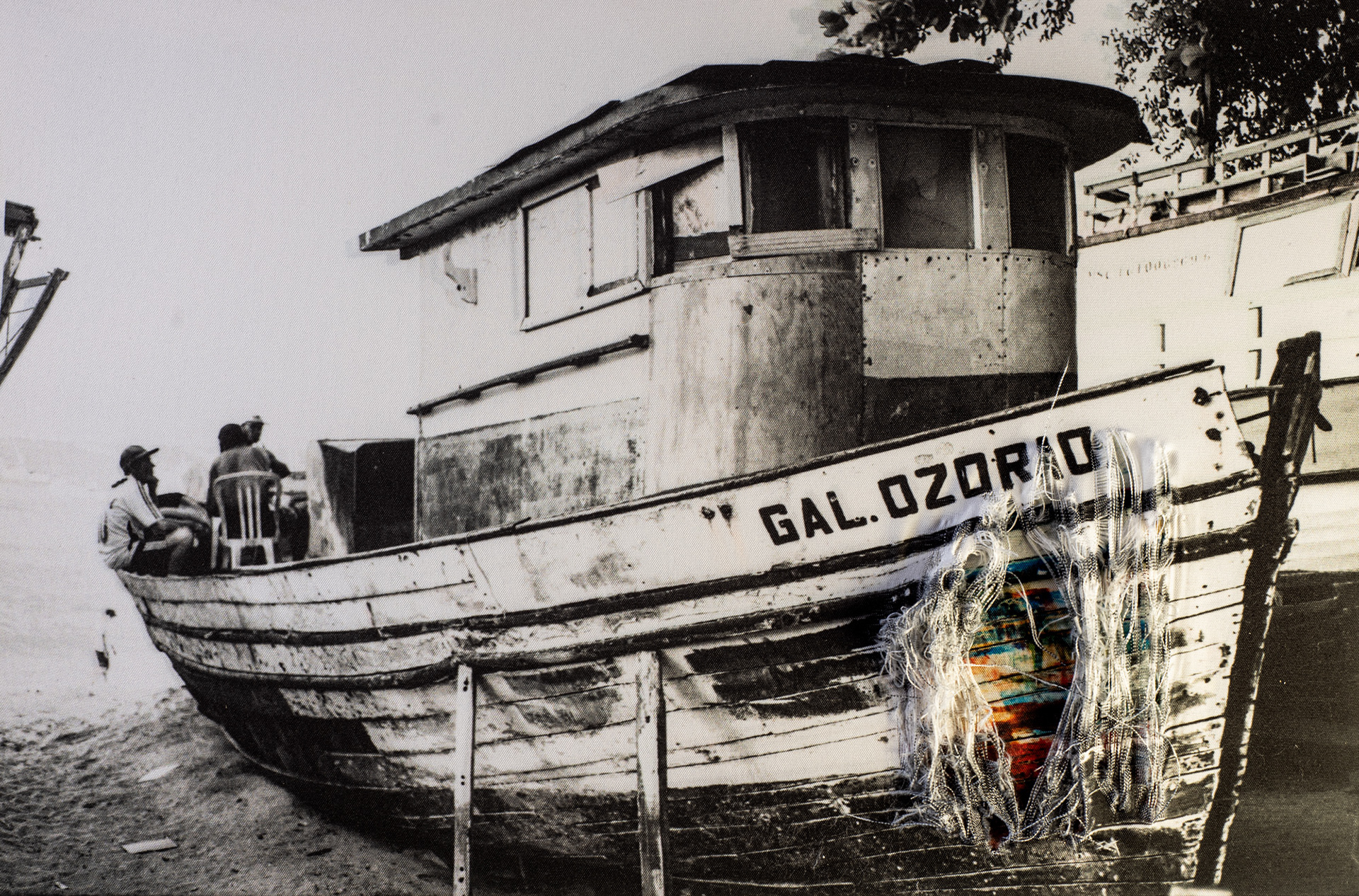 GAL da Série “Epiderme”, 2023 - Impressão em tecido 1/7+P.A. - 40 x 60cm