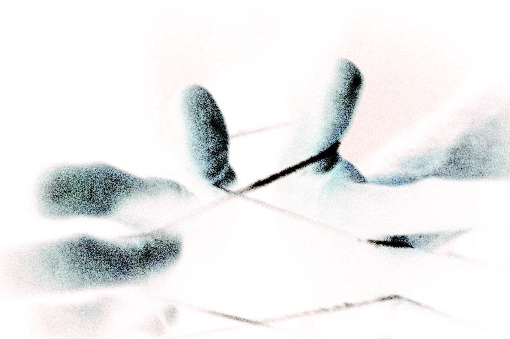 SUBLIMAÇÃO I, 2021 - imagem digital 1/7+P.A. - 52 x 78cm