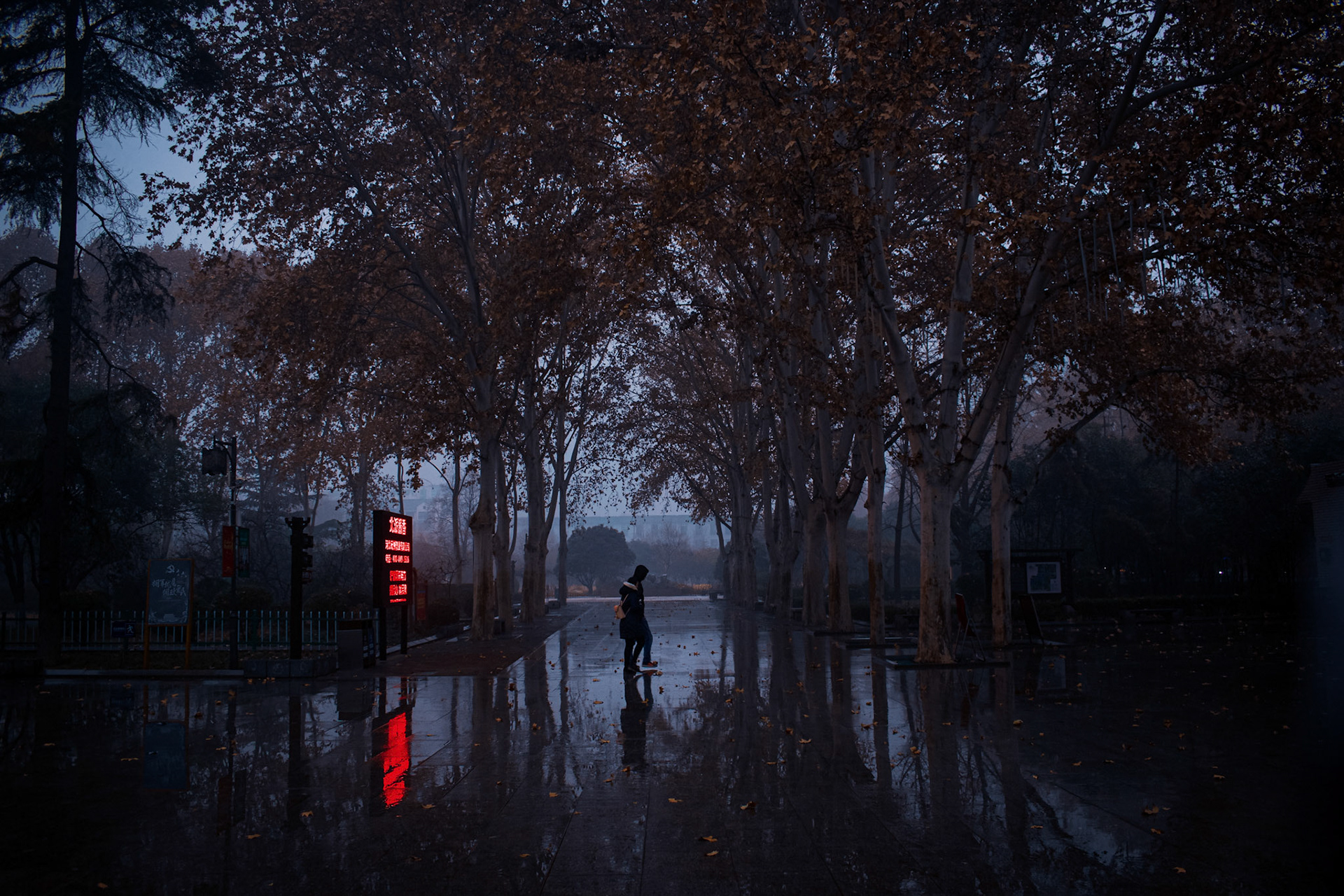 Reflection