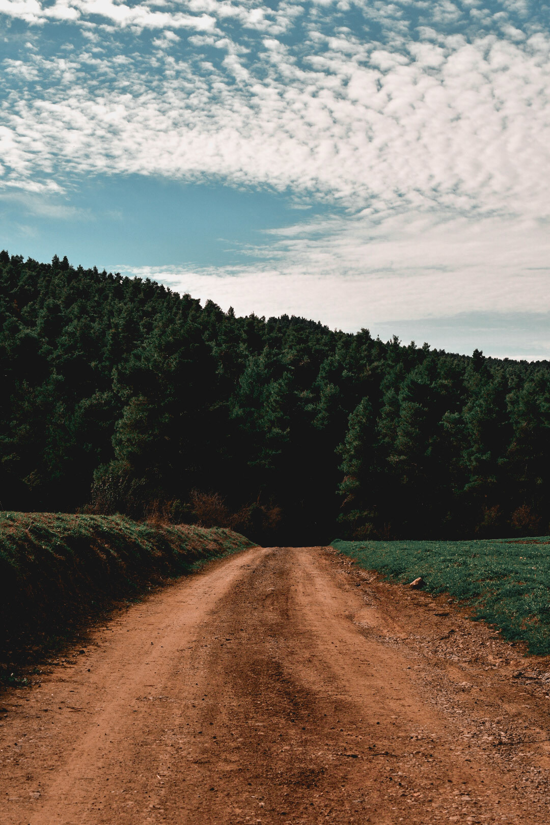 Path
