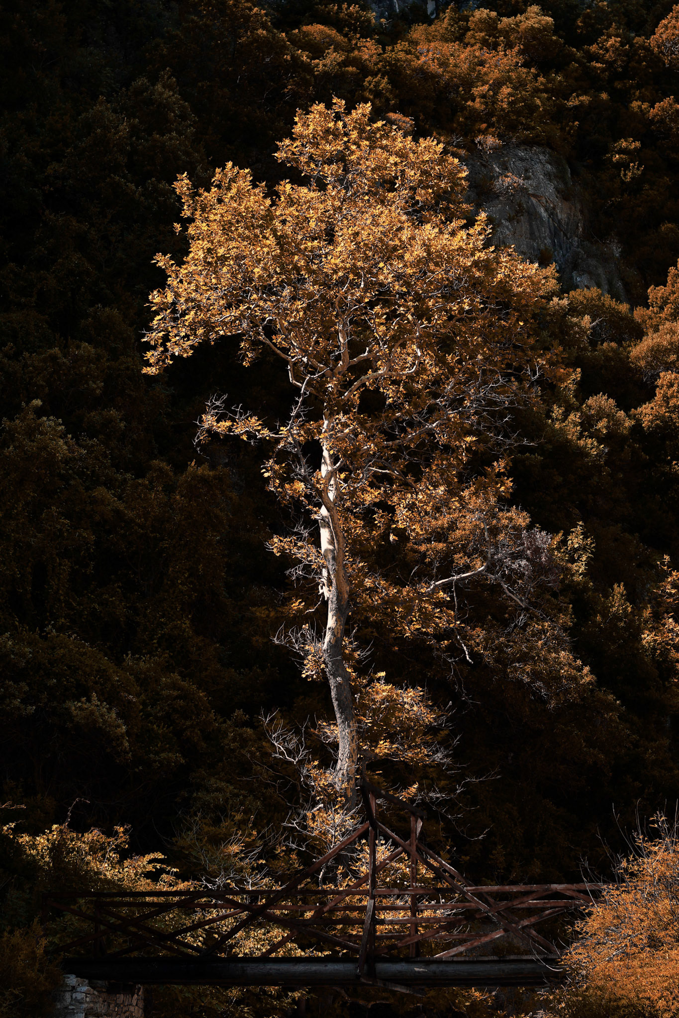 Autunno