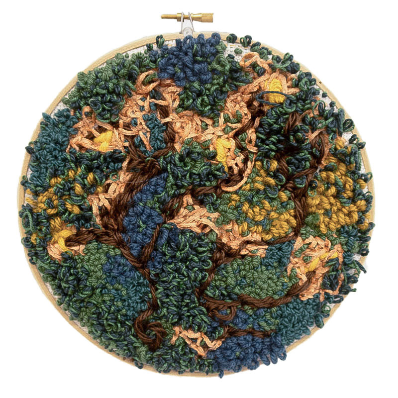 Medium: Punch needle assorted yarns, 8x8"