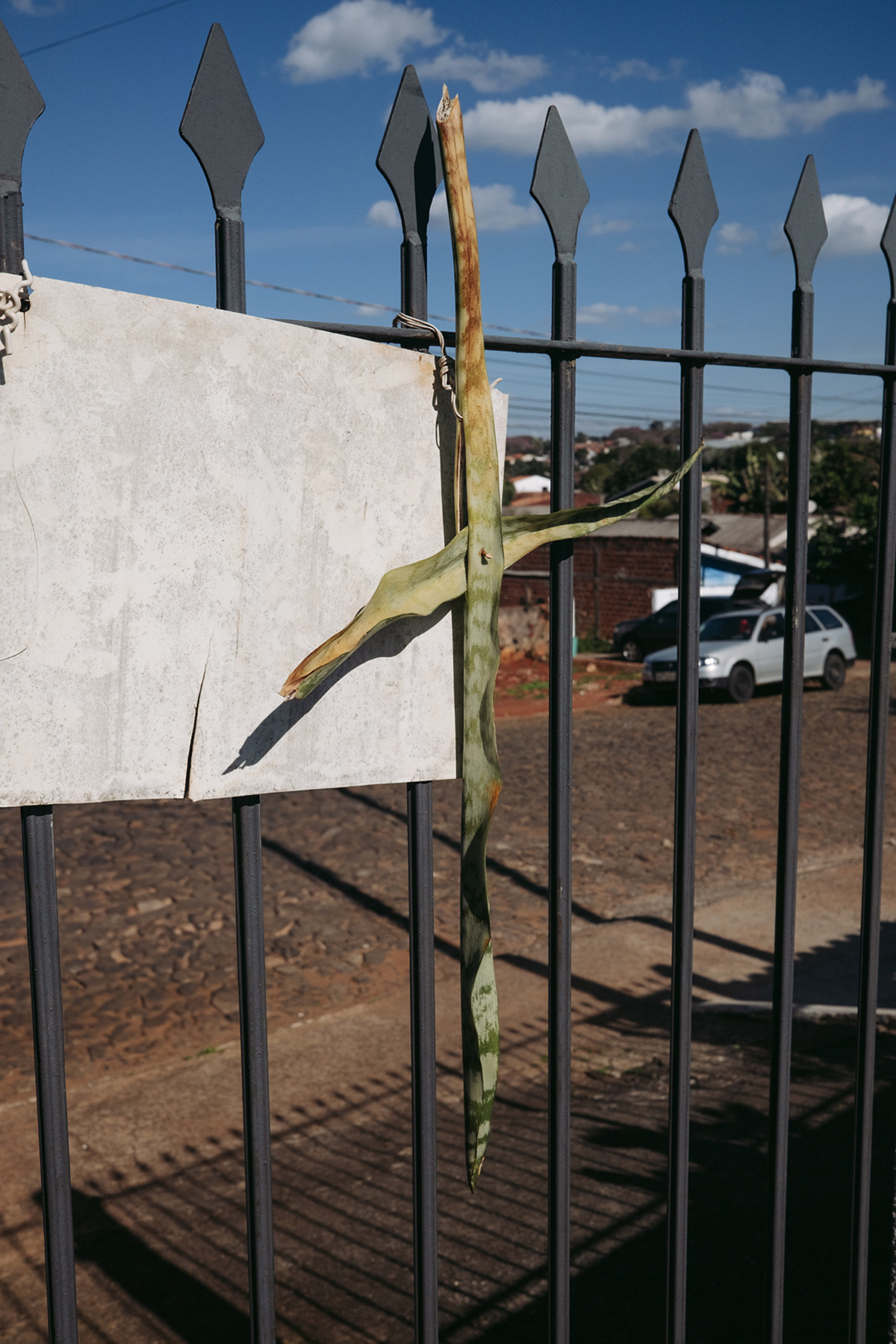 Proteção com espada de São Jorge