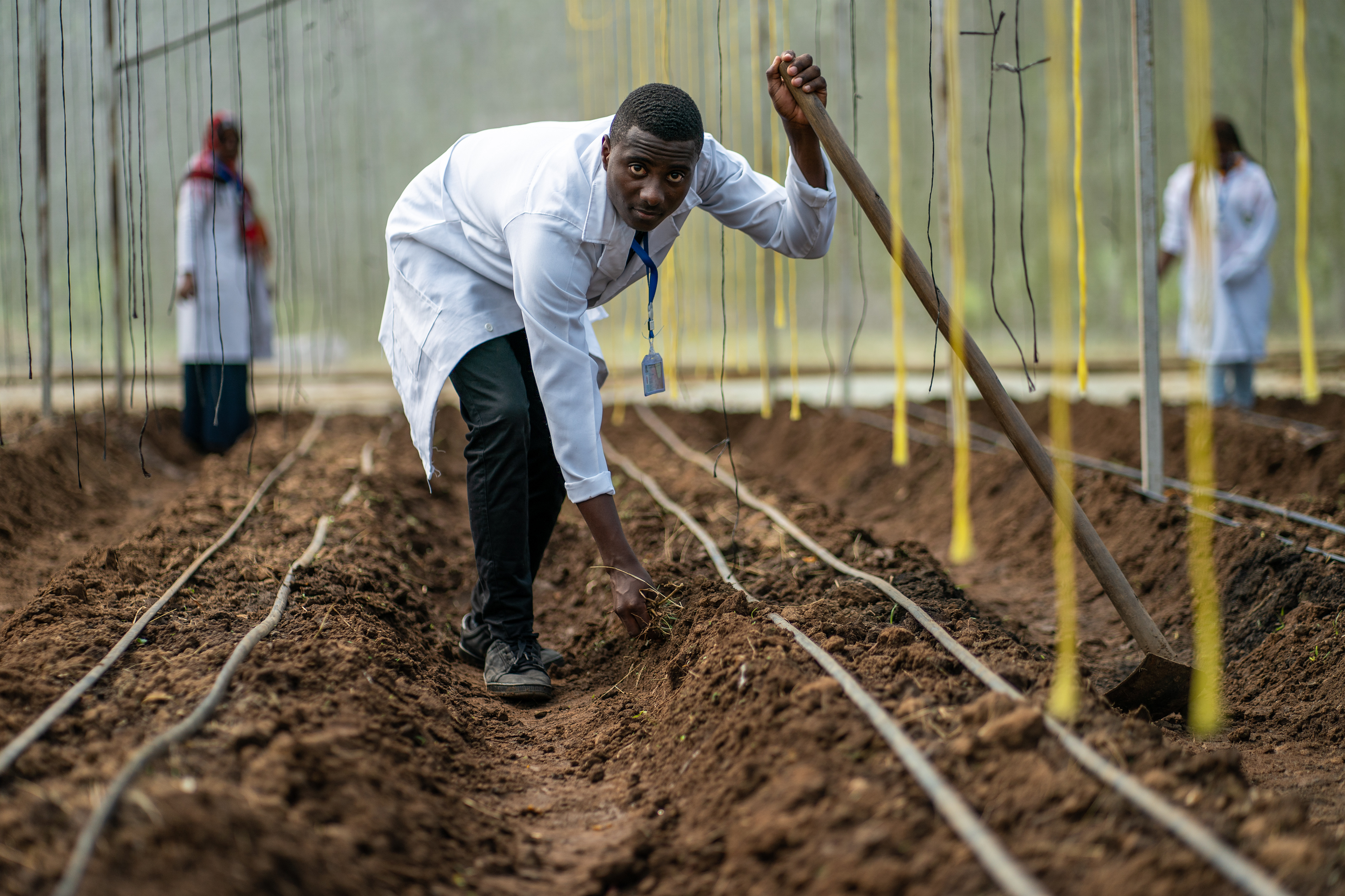 Drought resistant plant grant recipient at the National Sugar Institute in Kidatu, a vocation and agricultural school in Tanzania.