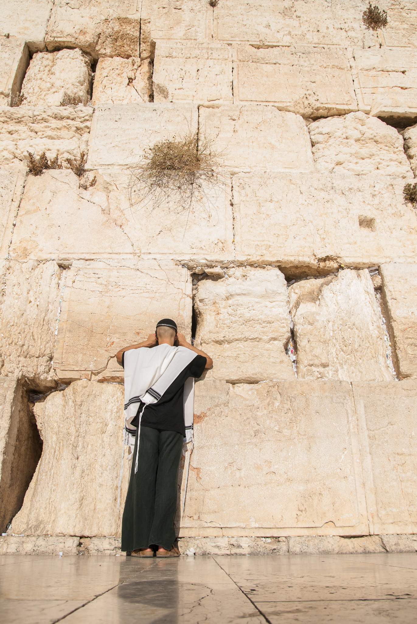 An Arab Jew prays at the Western Wall in Jerusalem.