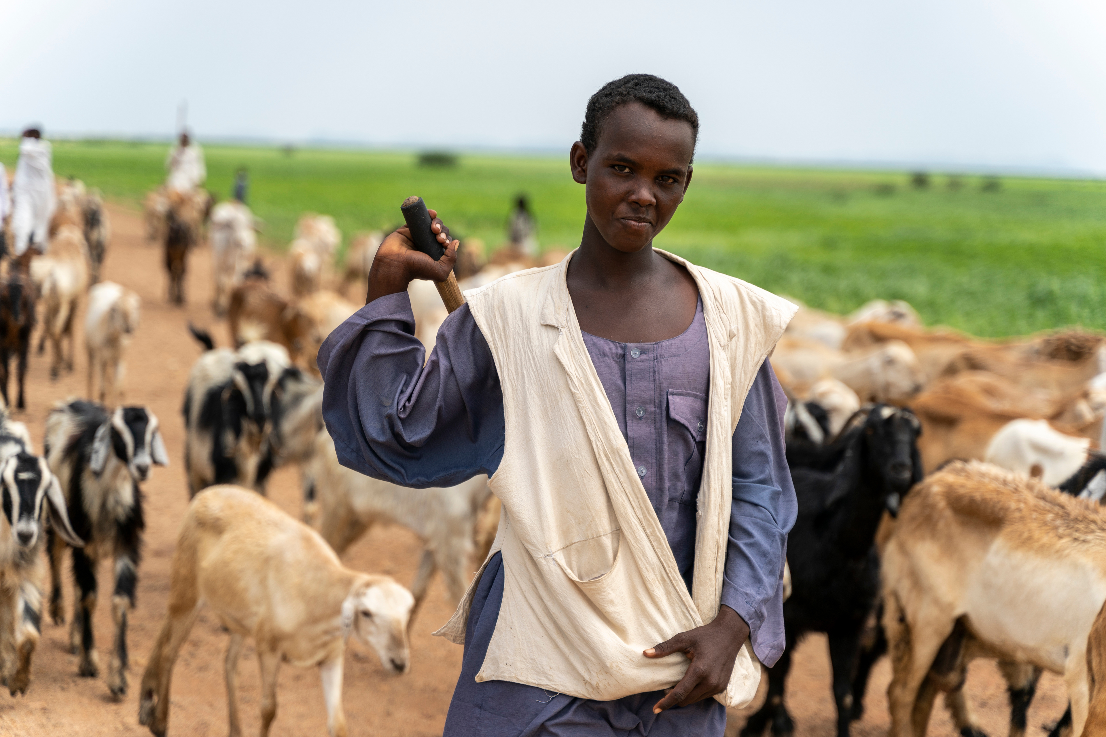 Mohamad Tarig herds goats along the road to the Tuneidba Refugee Camp near Gedaref, Sudan.