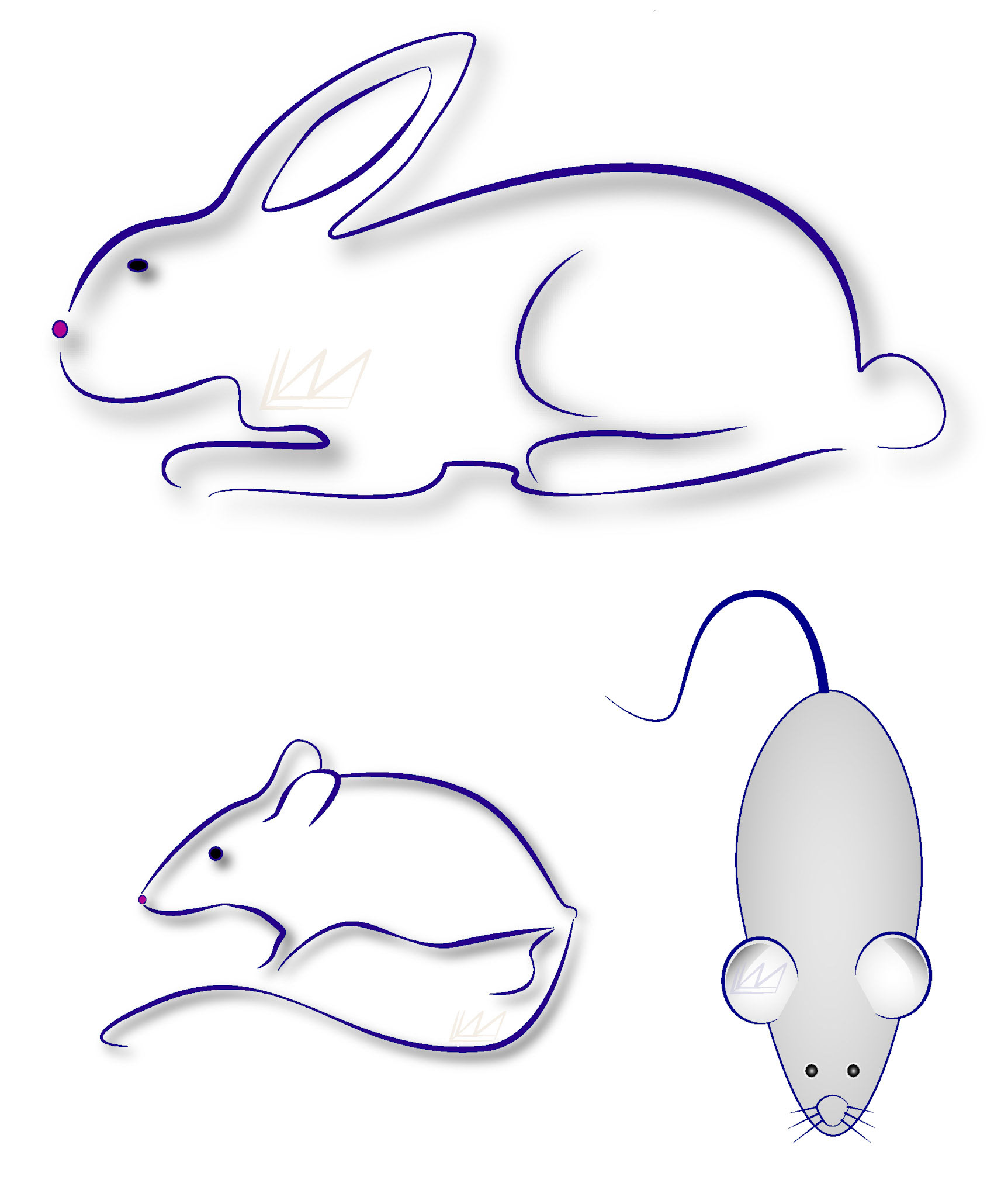 mouse rabbit line drawing