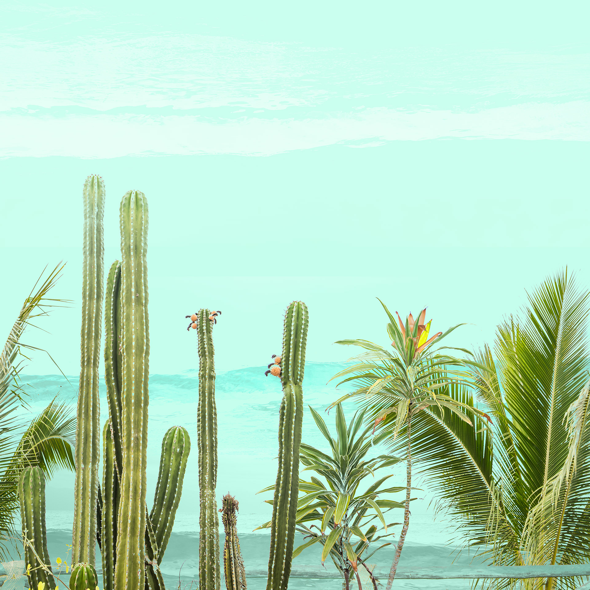 Shoreline Day, digital composite, 20" x 20", 40" x 40"