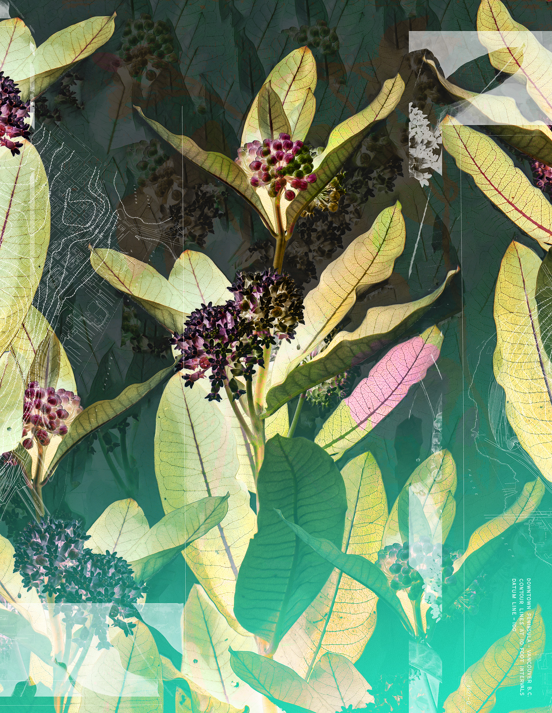 Future Flow II v.2, digital composite, 30" x 40", 40" x 60".
