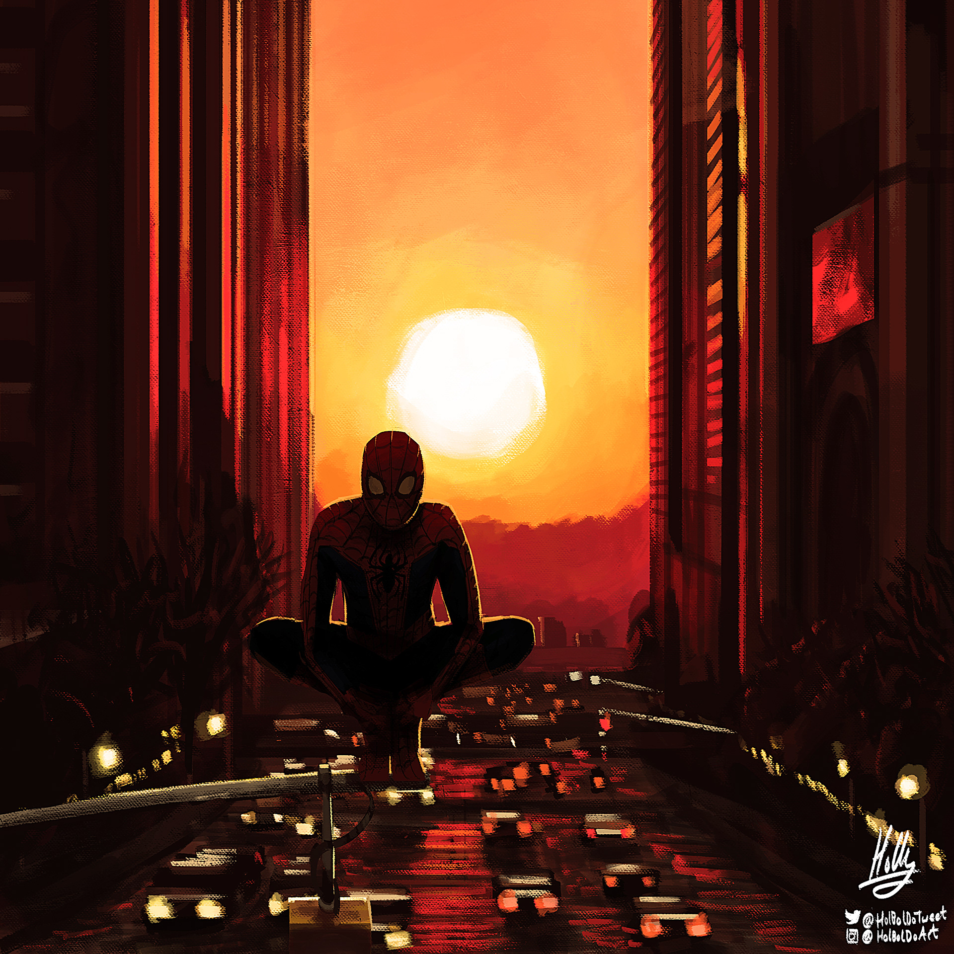 Sunset Spider