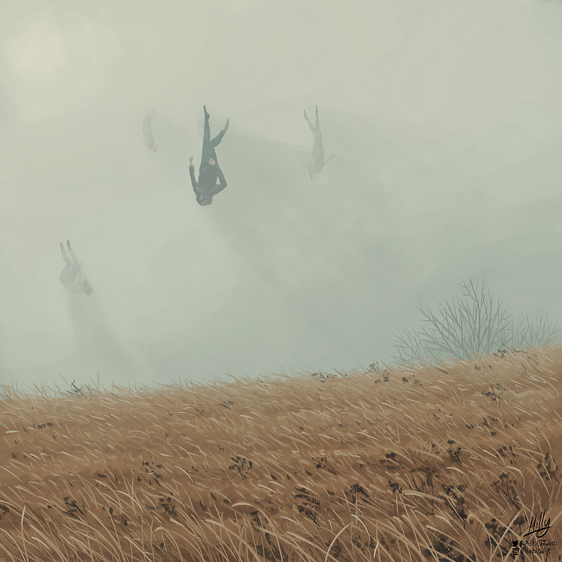 Falling Field