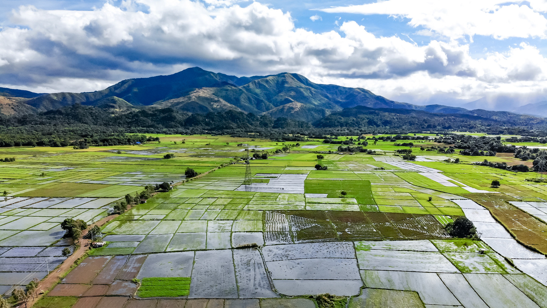 created by dji camera