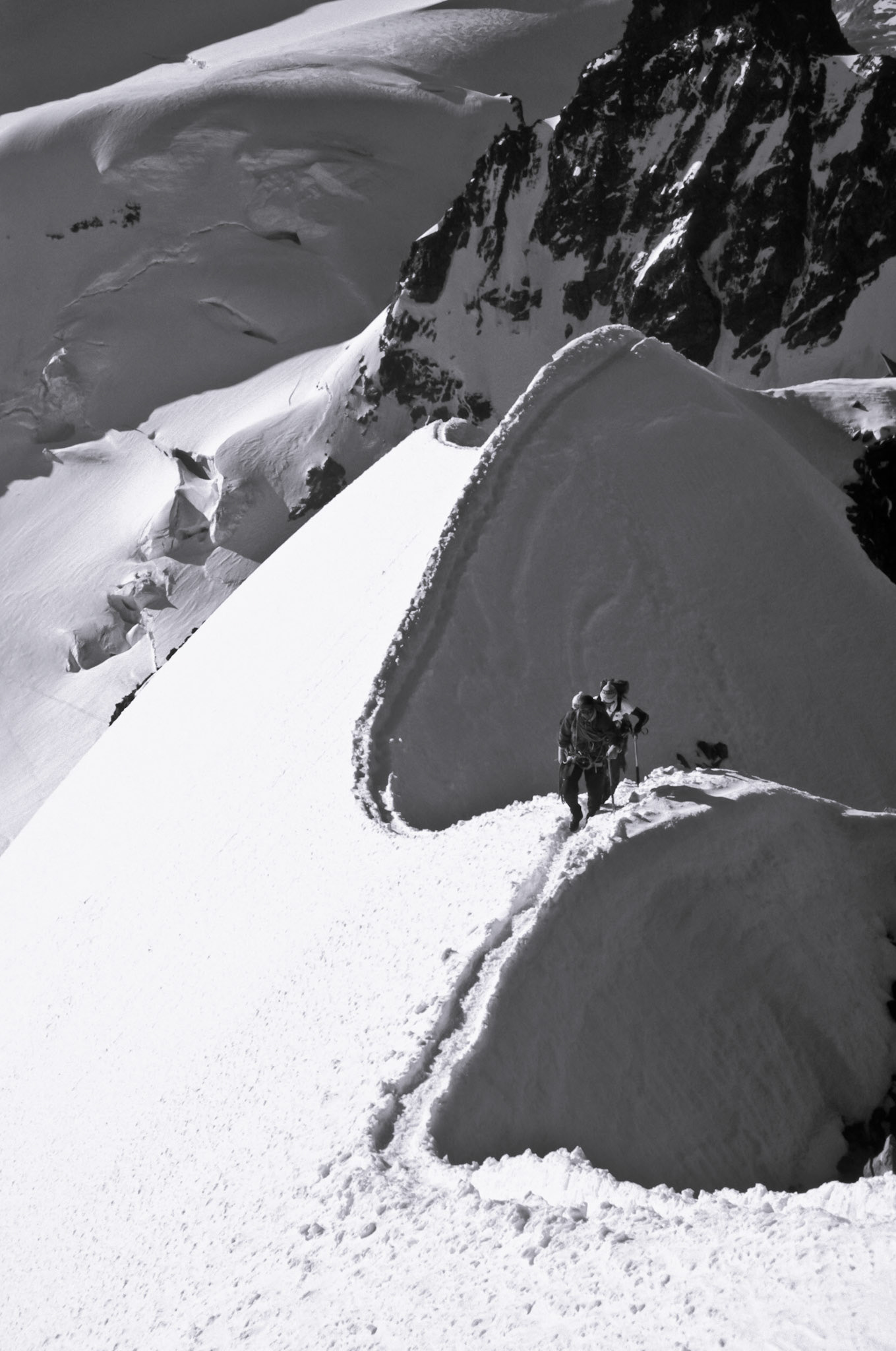 Looking back down Cresta Spalla (Shoulder Ridge) from La Spedla (4020) on the ascent of Piz Bernina (4049m)