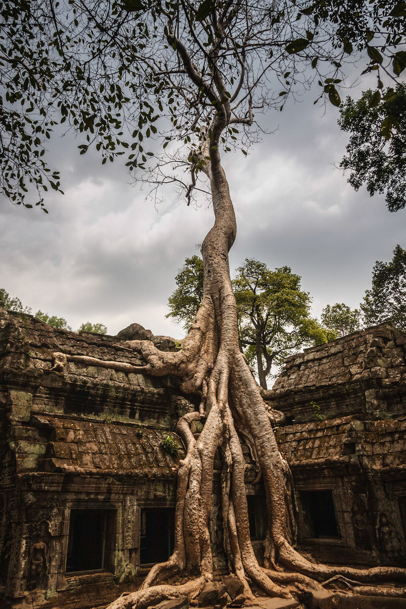Ta Prohm