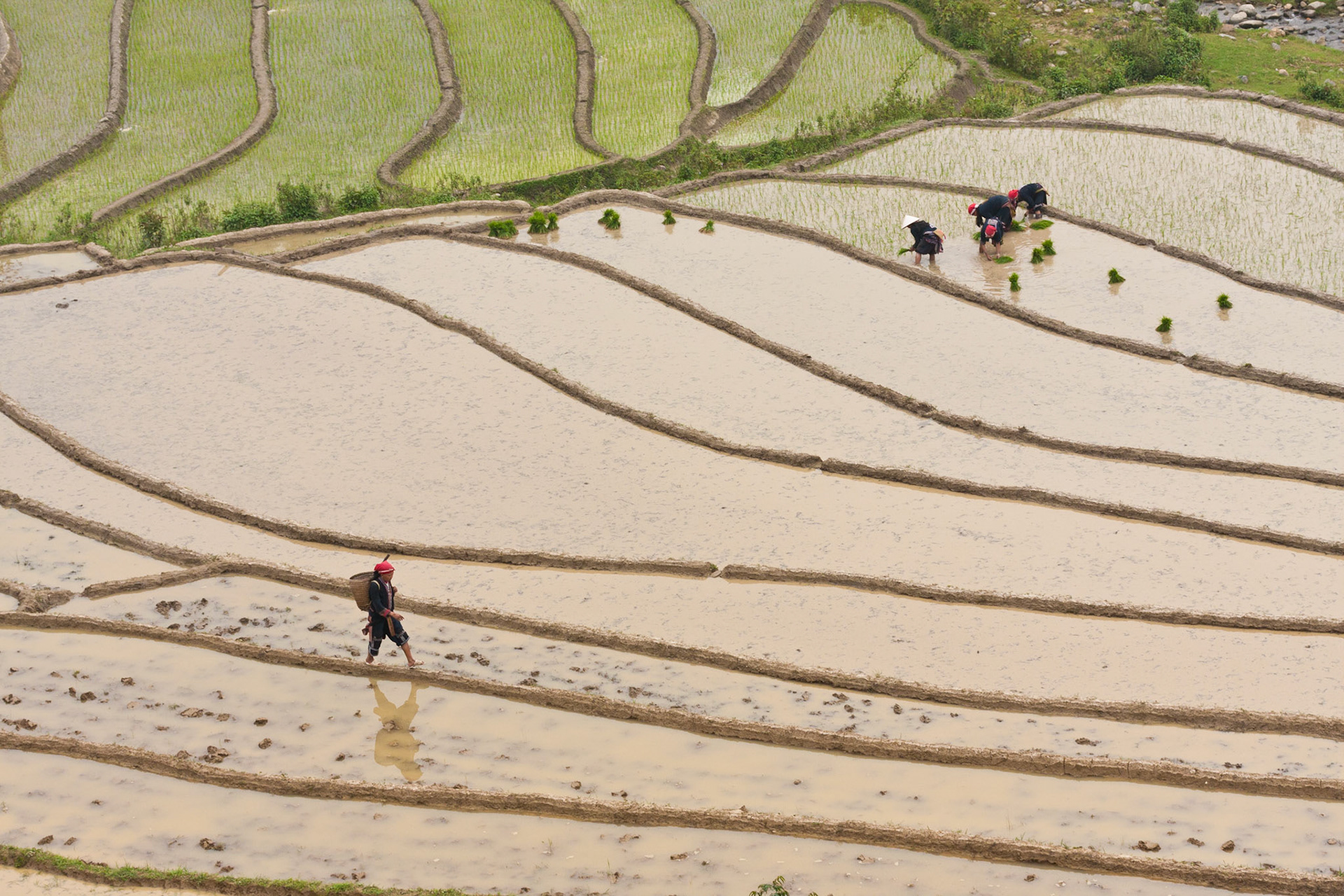 Near Tả Phìn, Sapa, Vietnam