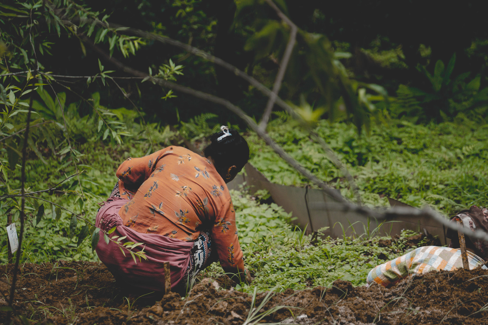 An old lady harvesting on a hot summer day, providing for herself and her family.