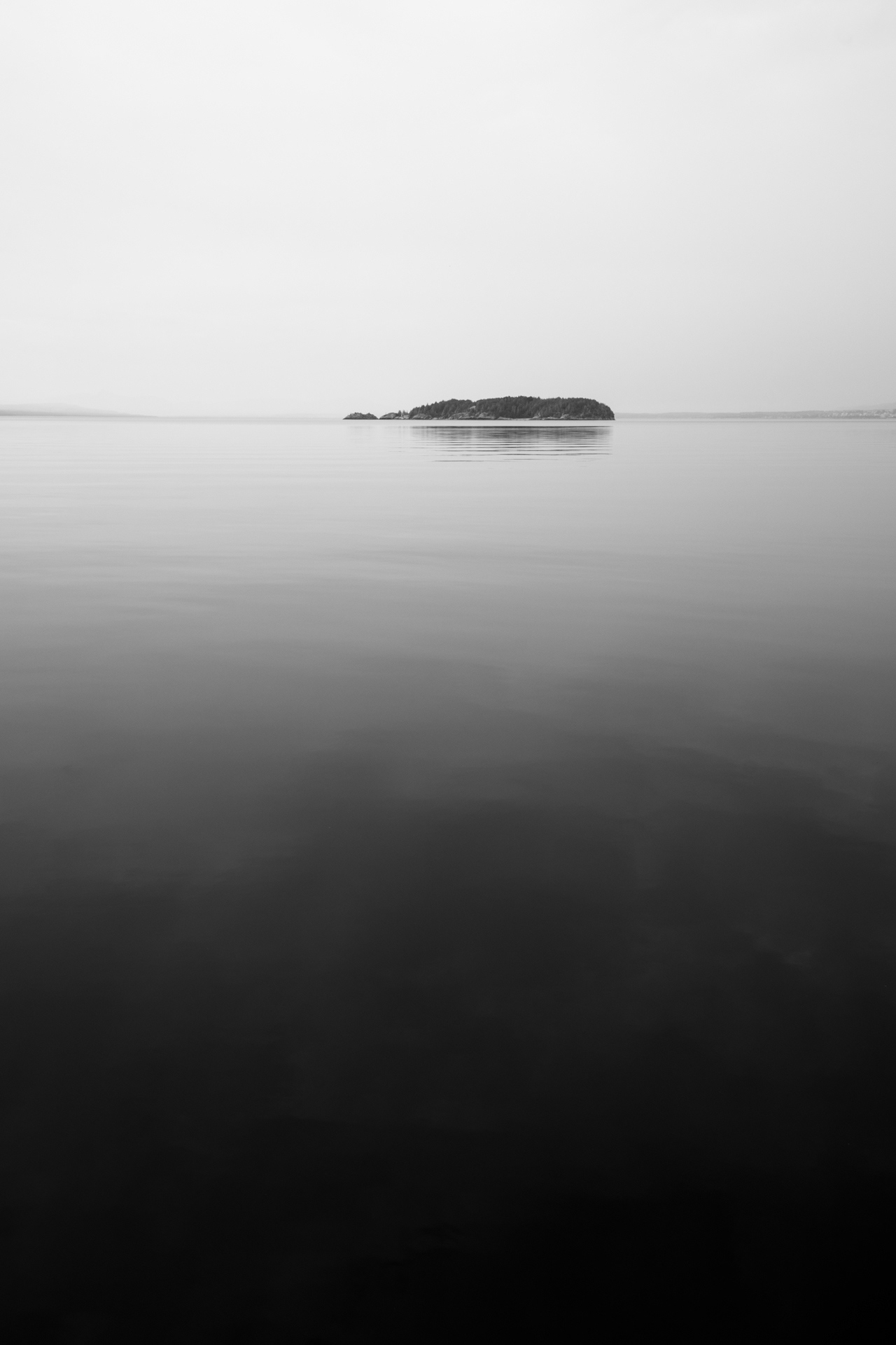 Isla de las Gallinas 2