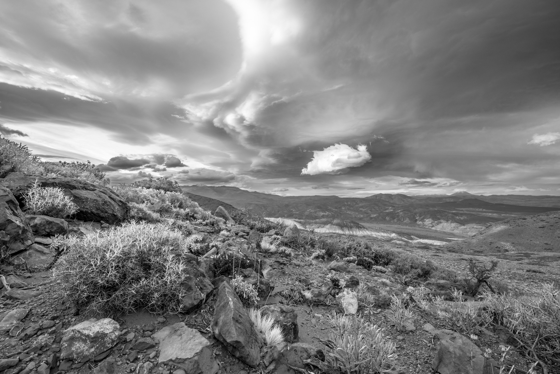 Lenticulares y estepa