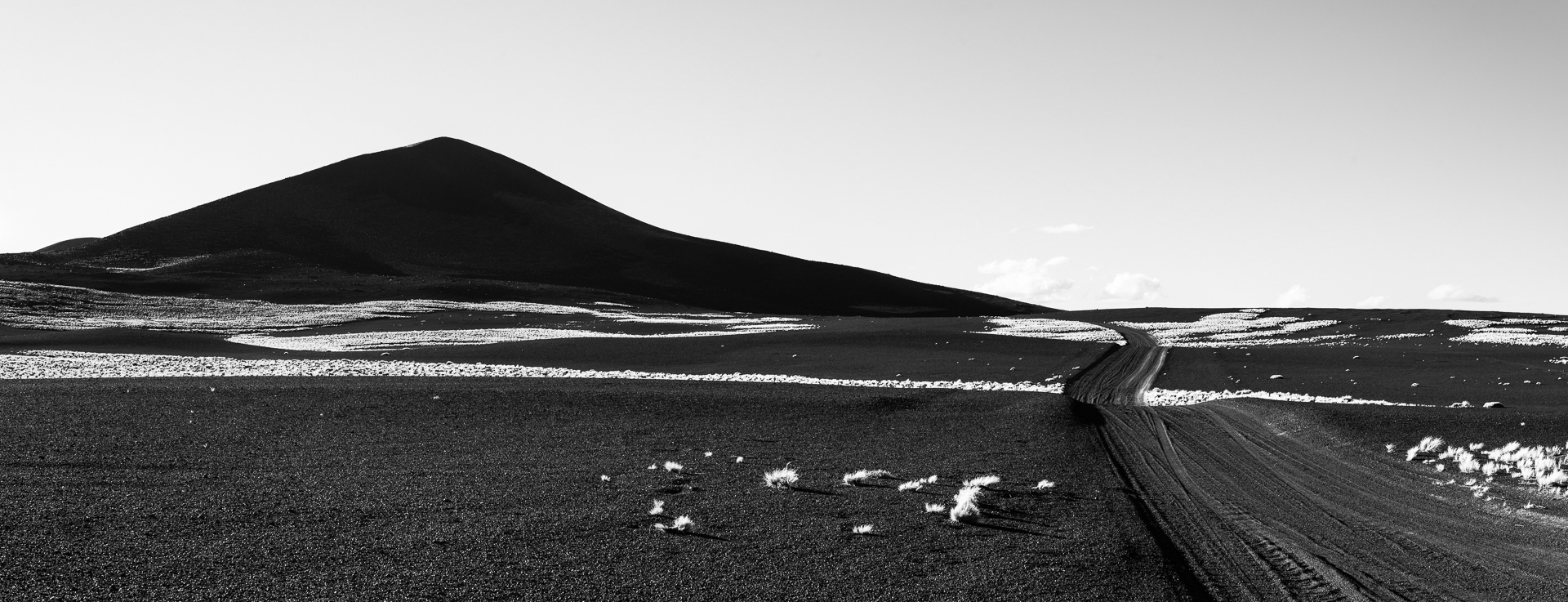 Panorámca de La Payunia