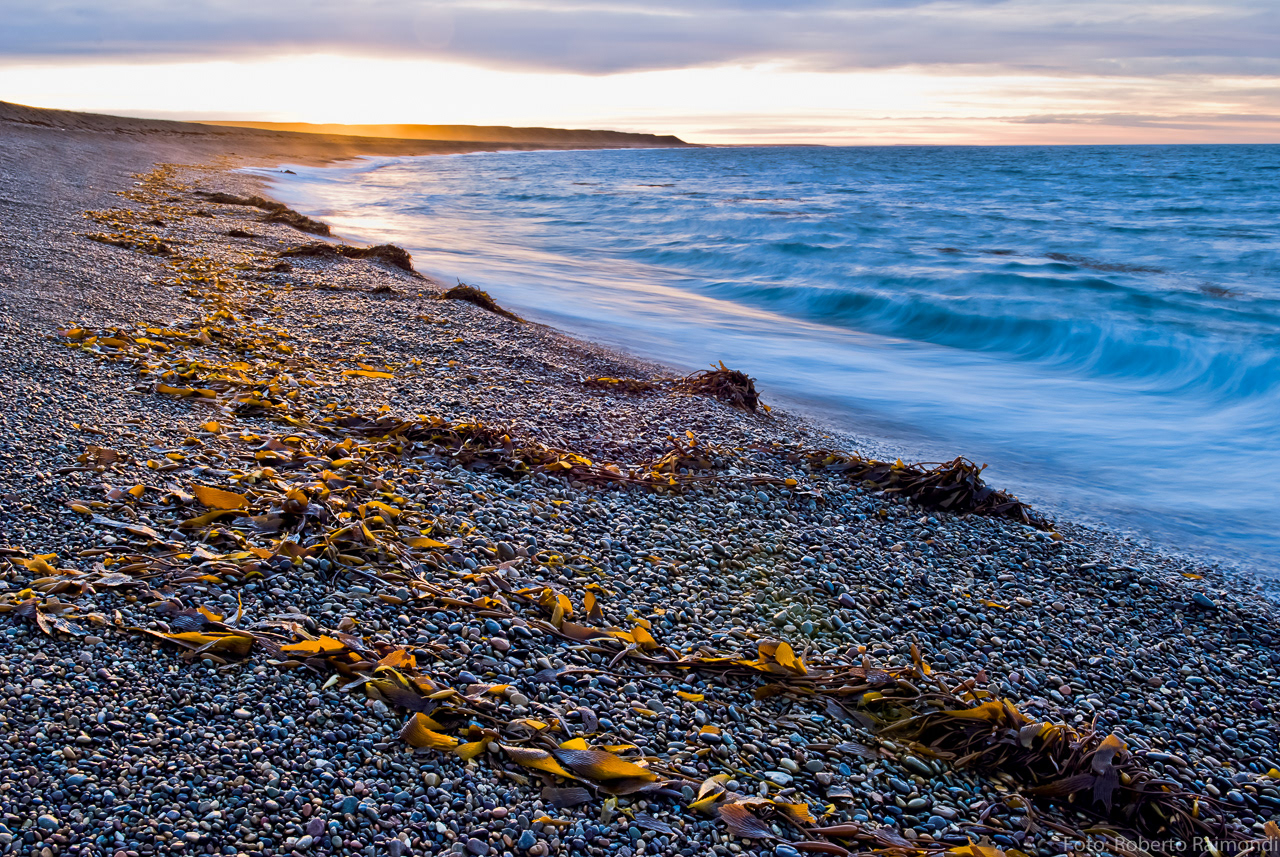 Costa Patagónica