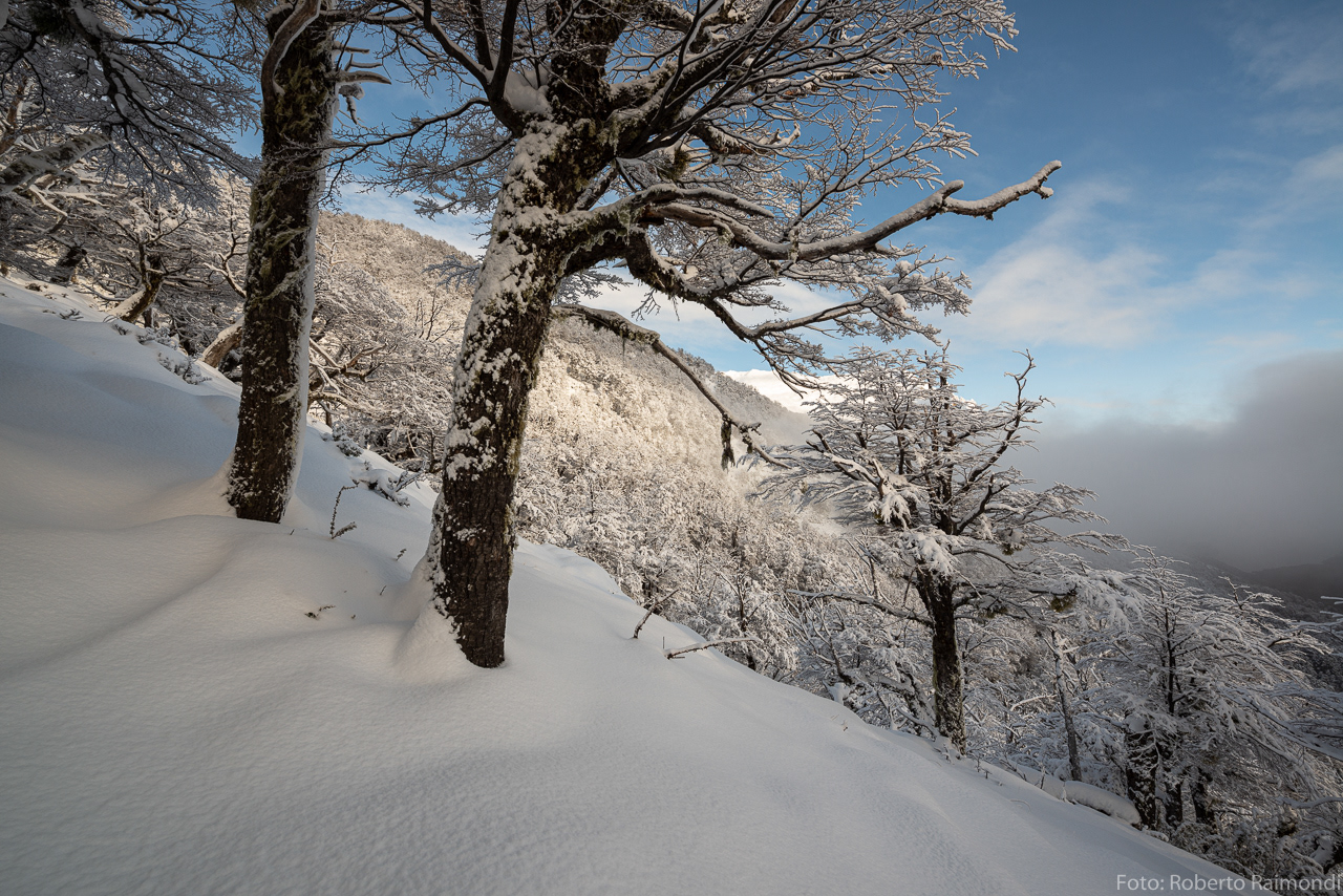 Cerro López en Invierno 1