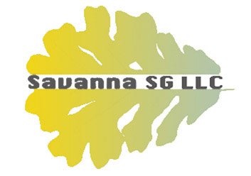 Savanna SG LLC sign