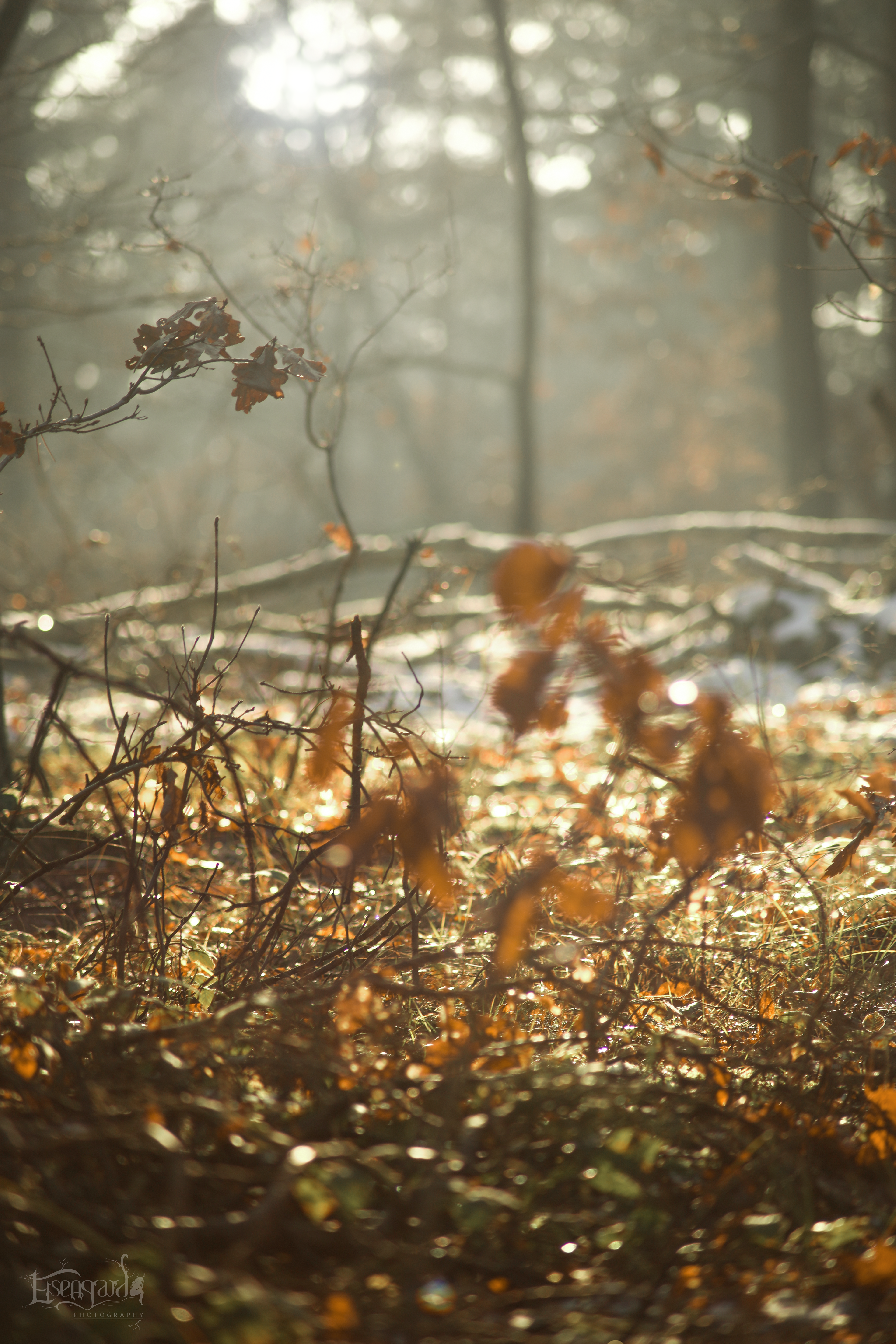 Winterliebe
