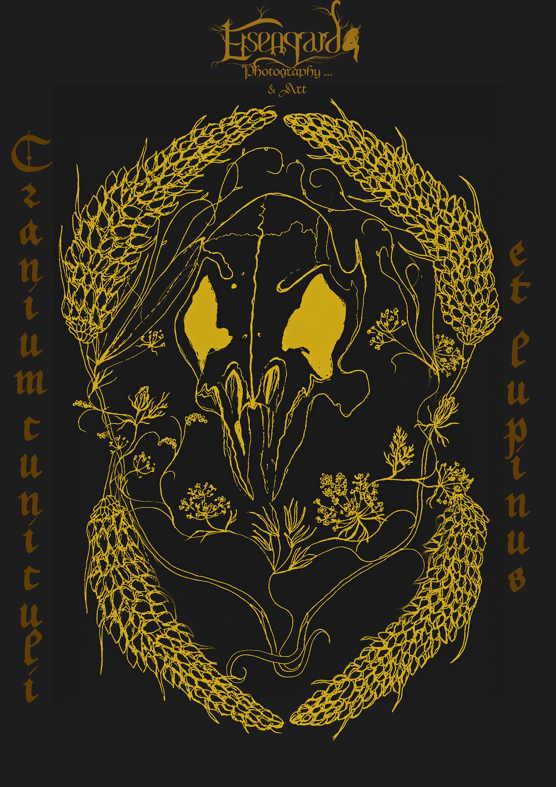 Cranium cuniculi et lupinus