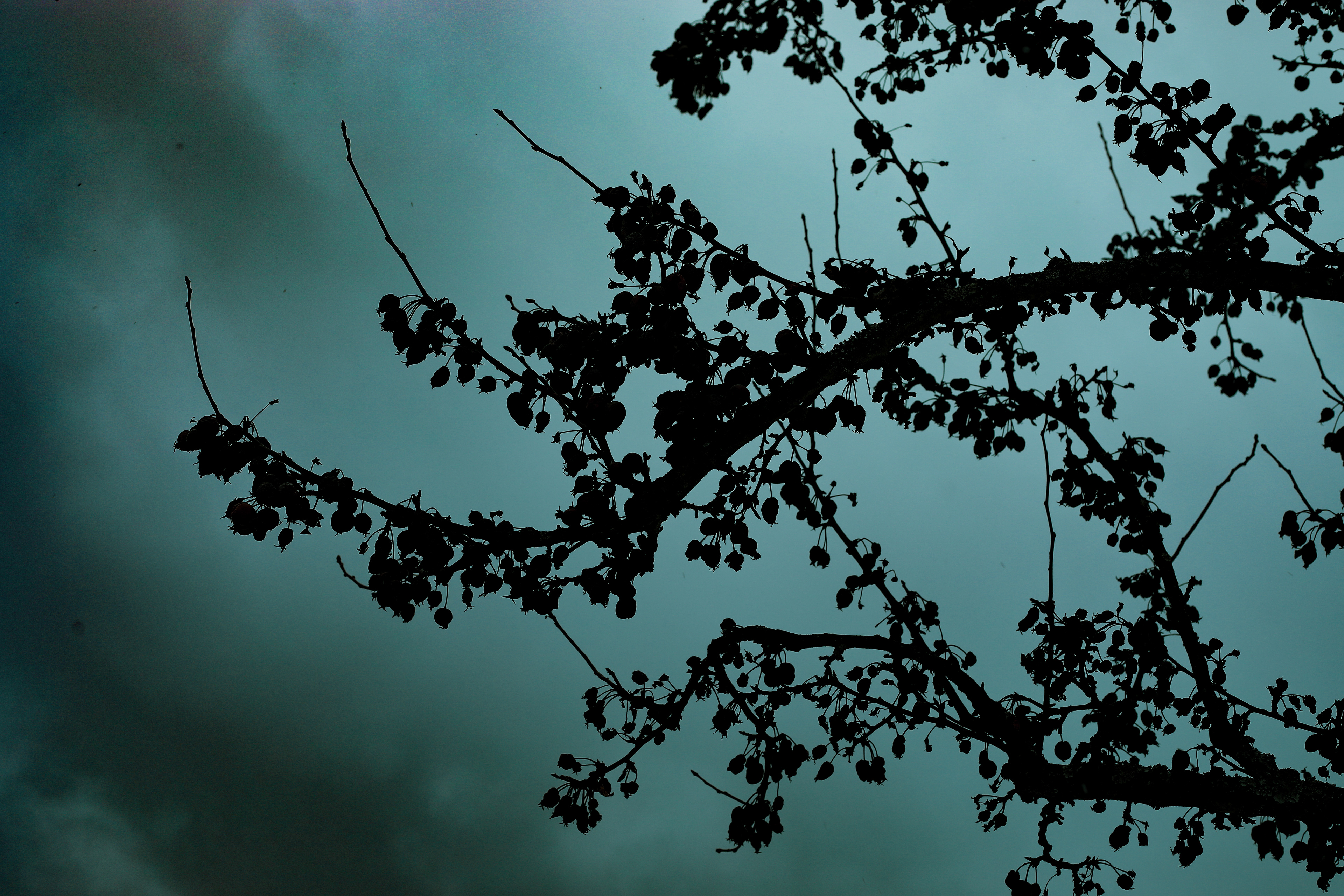 Gewitter