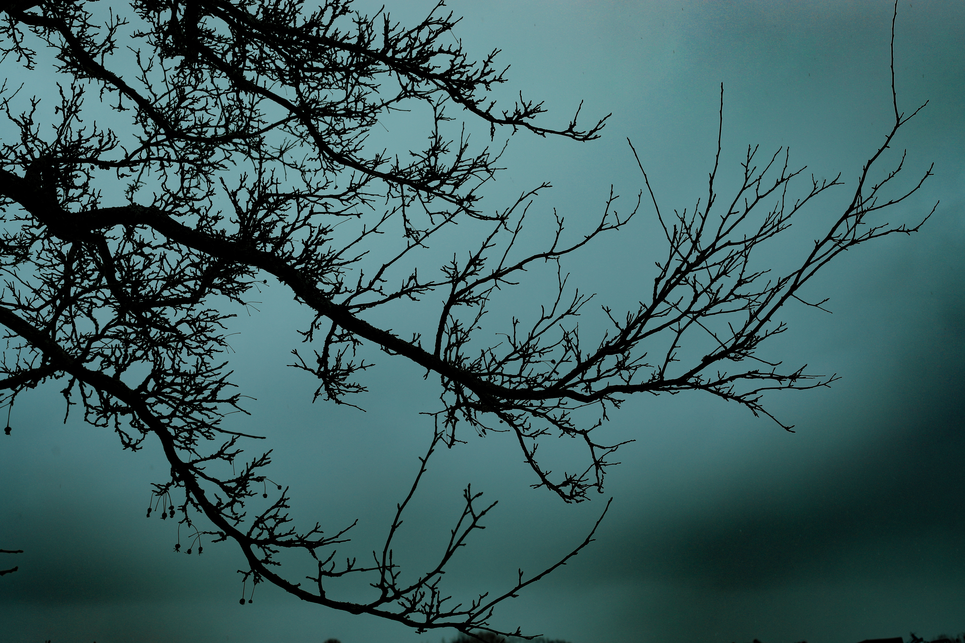 Gewitter