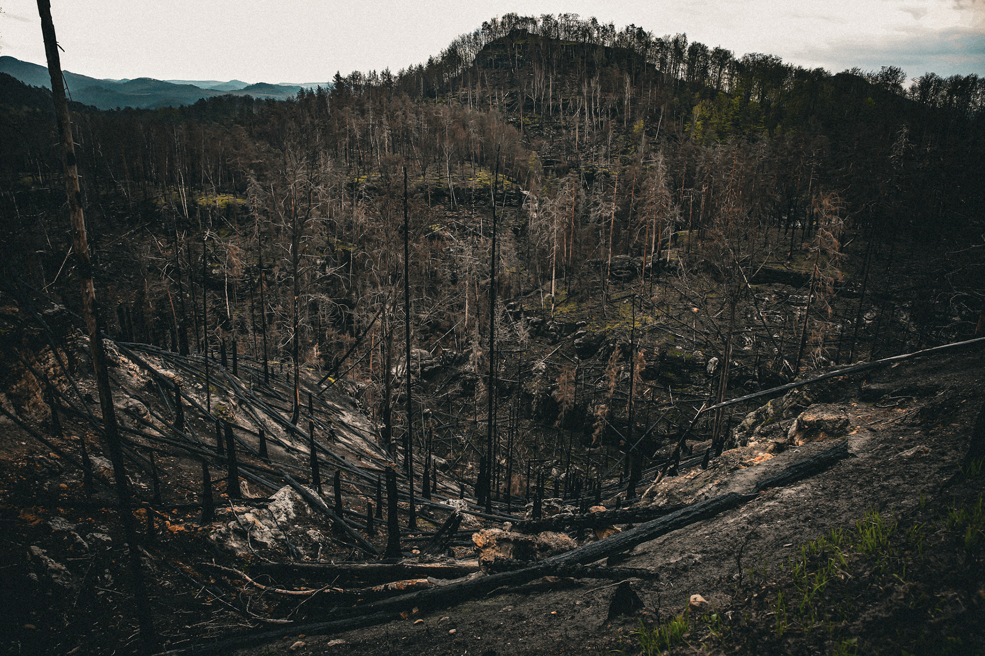 Waldbrand 2022 Bömische Schweiz