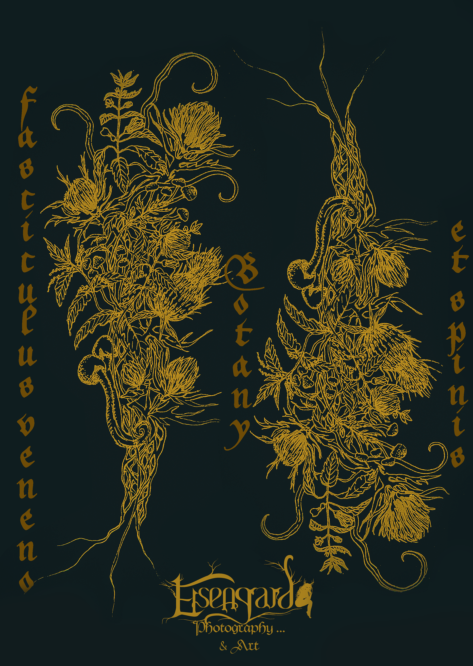 Fasciculus veneno et spinis