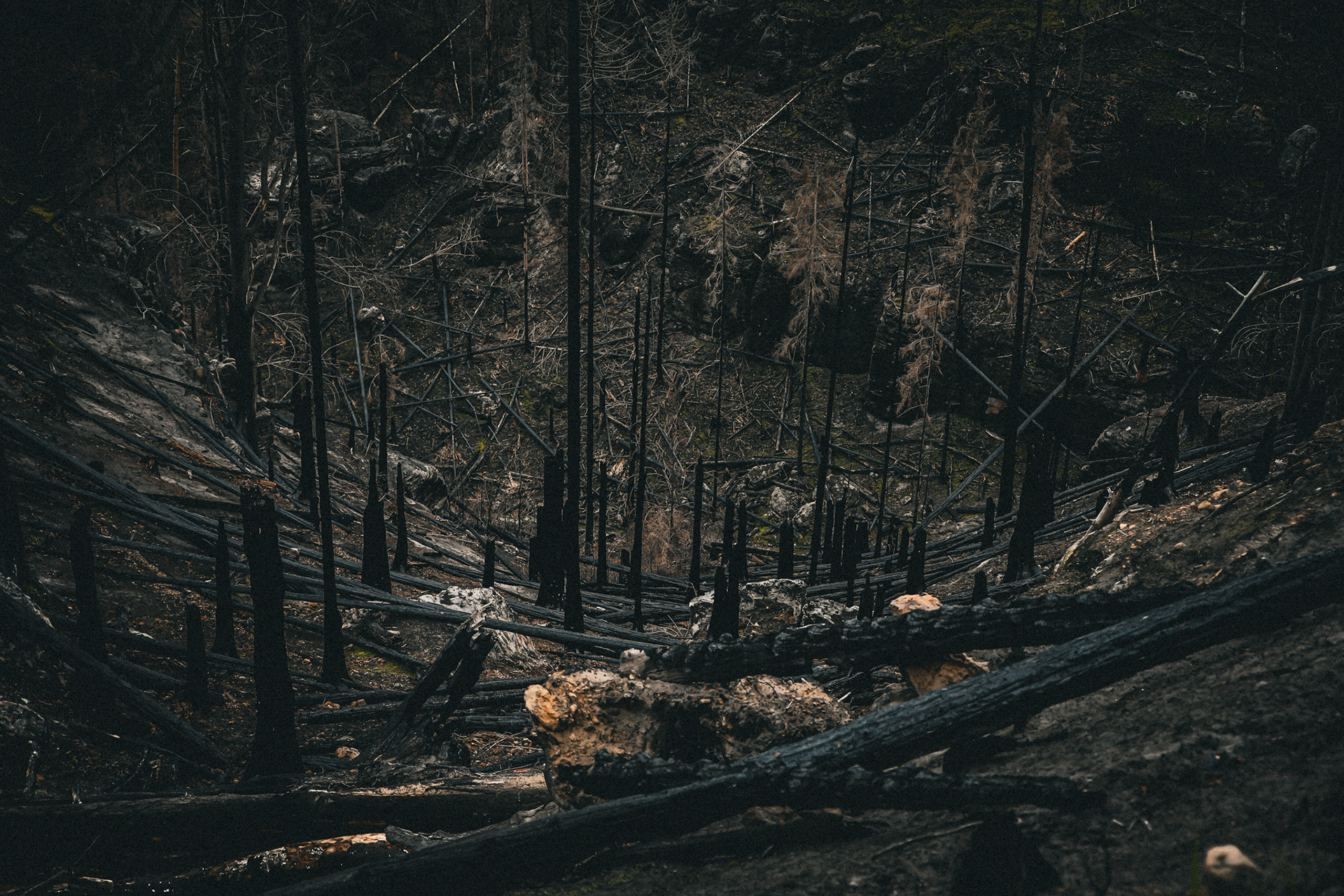 Waldbrand 2022 Bömische Schweiz