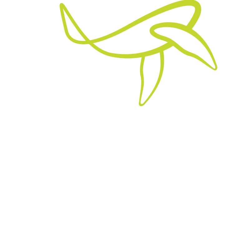 Whale Filmes
