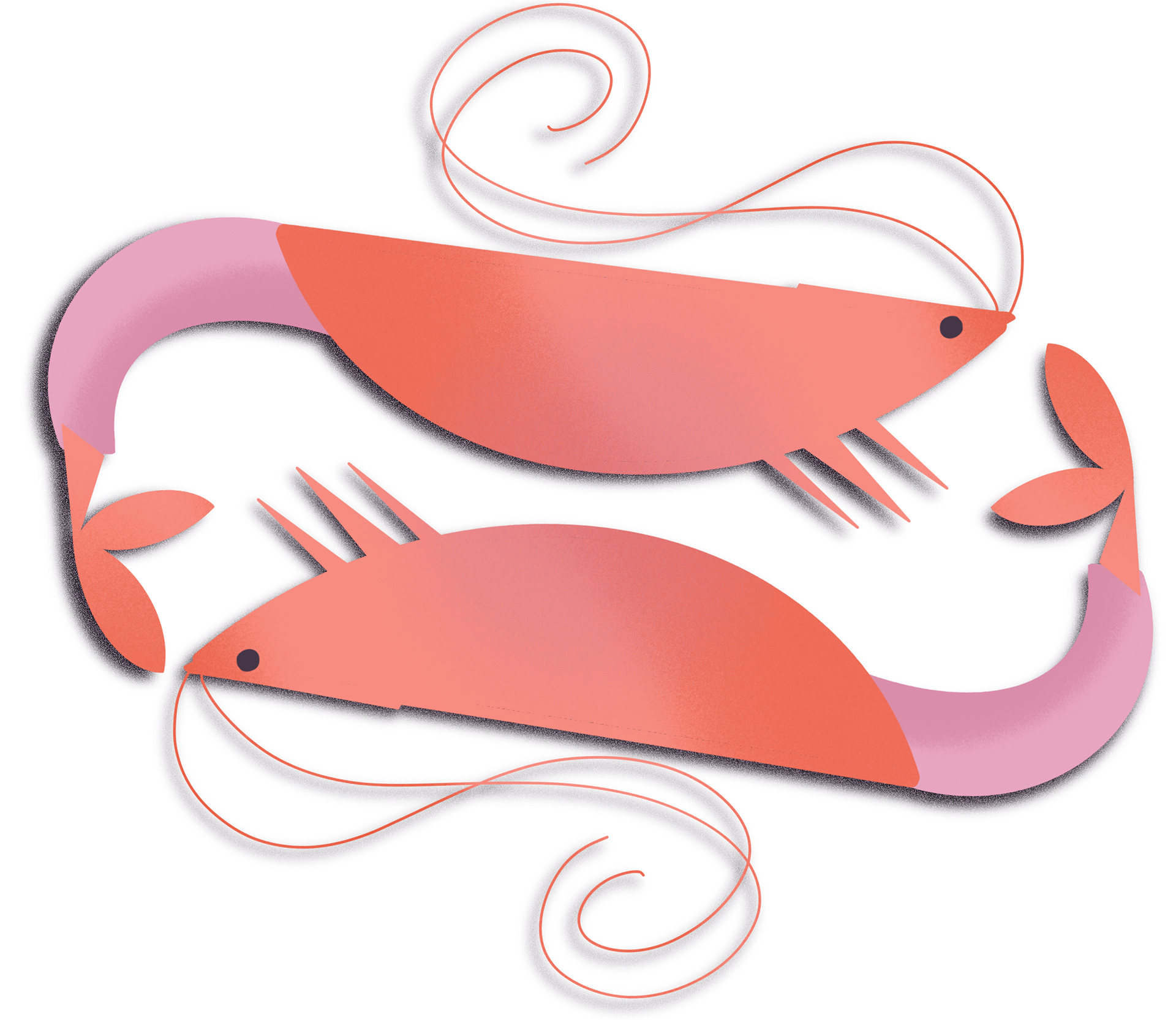 shrimps