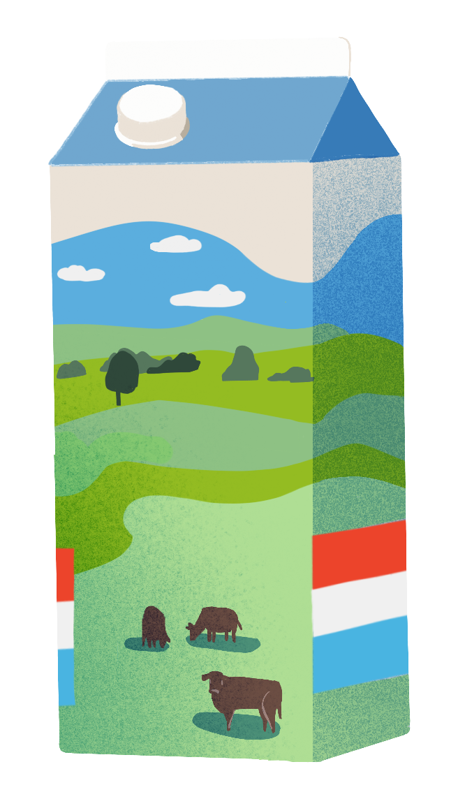 milk box illustration