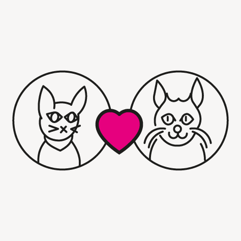 Auf Tinder Tiere zu vermitteln