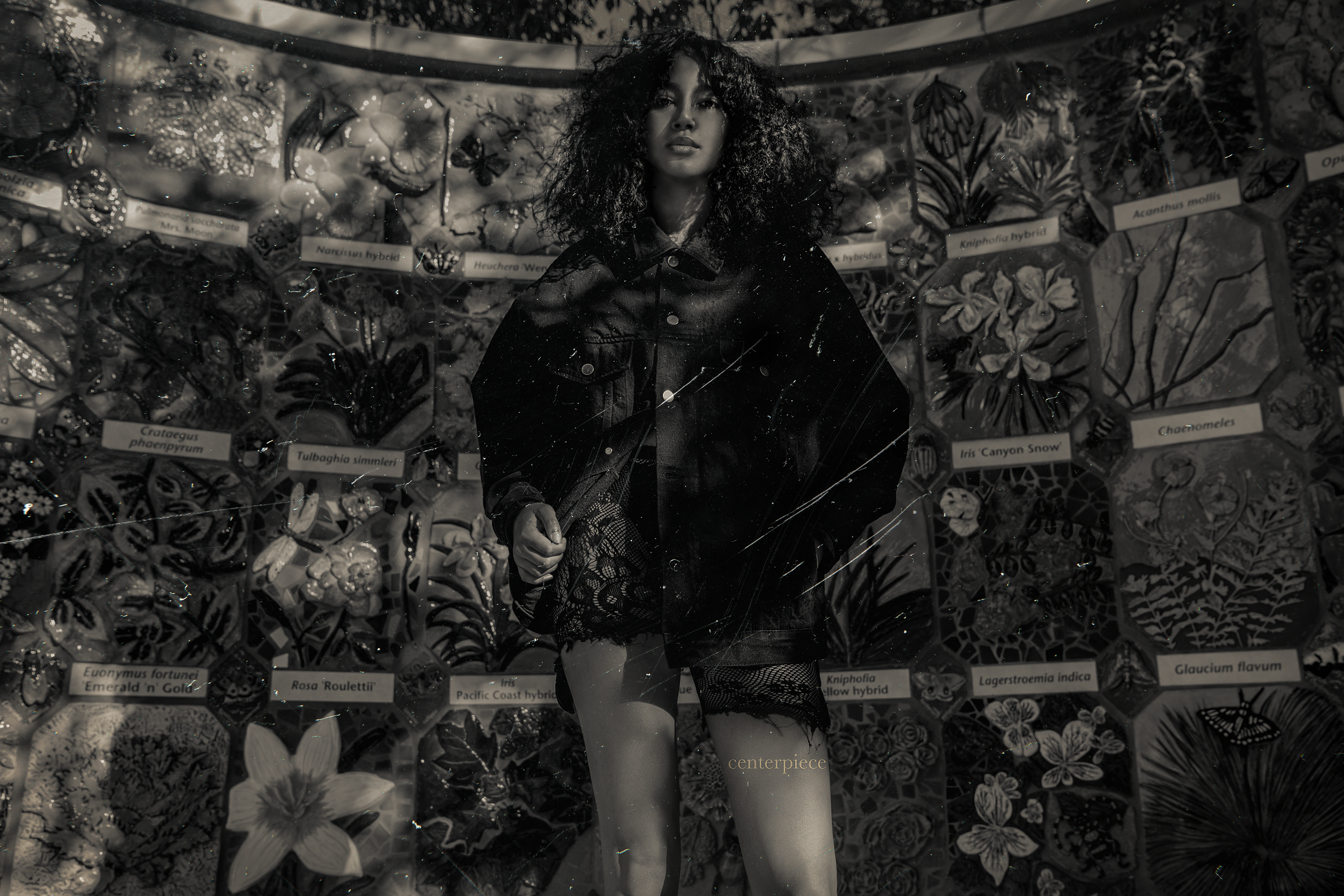 Creative Direction, Photography & Graphic Design For Centerpiece Clothing