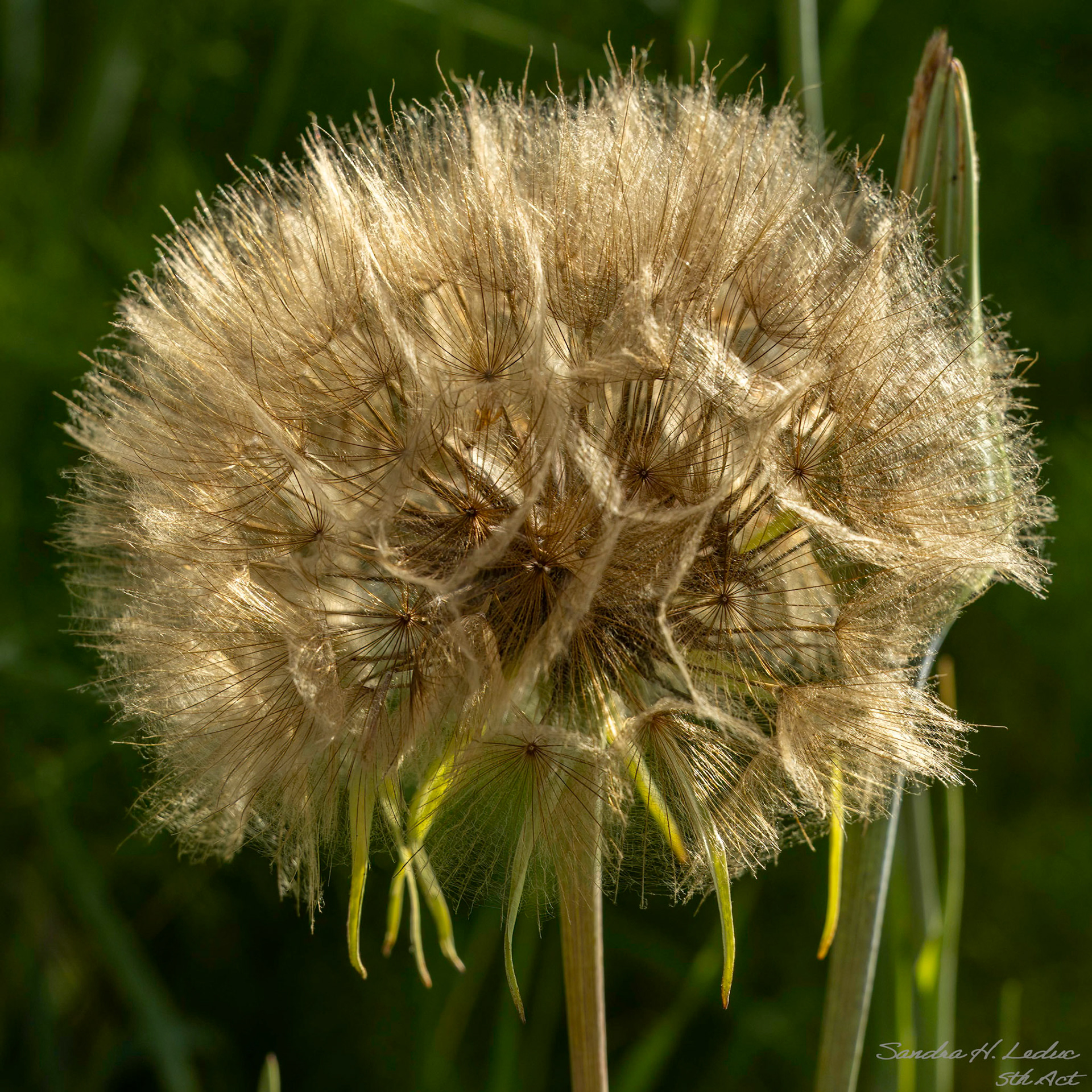 All done - ready to share