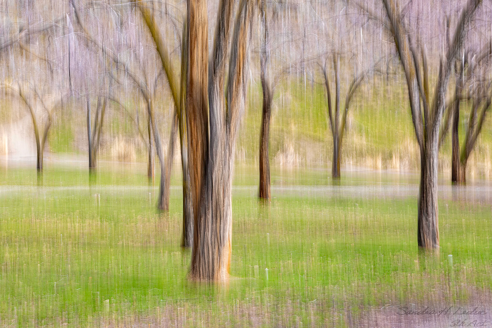 Kelowna Park