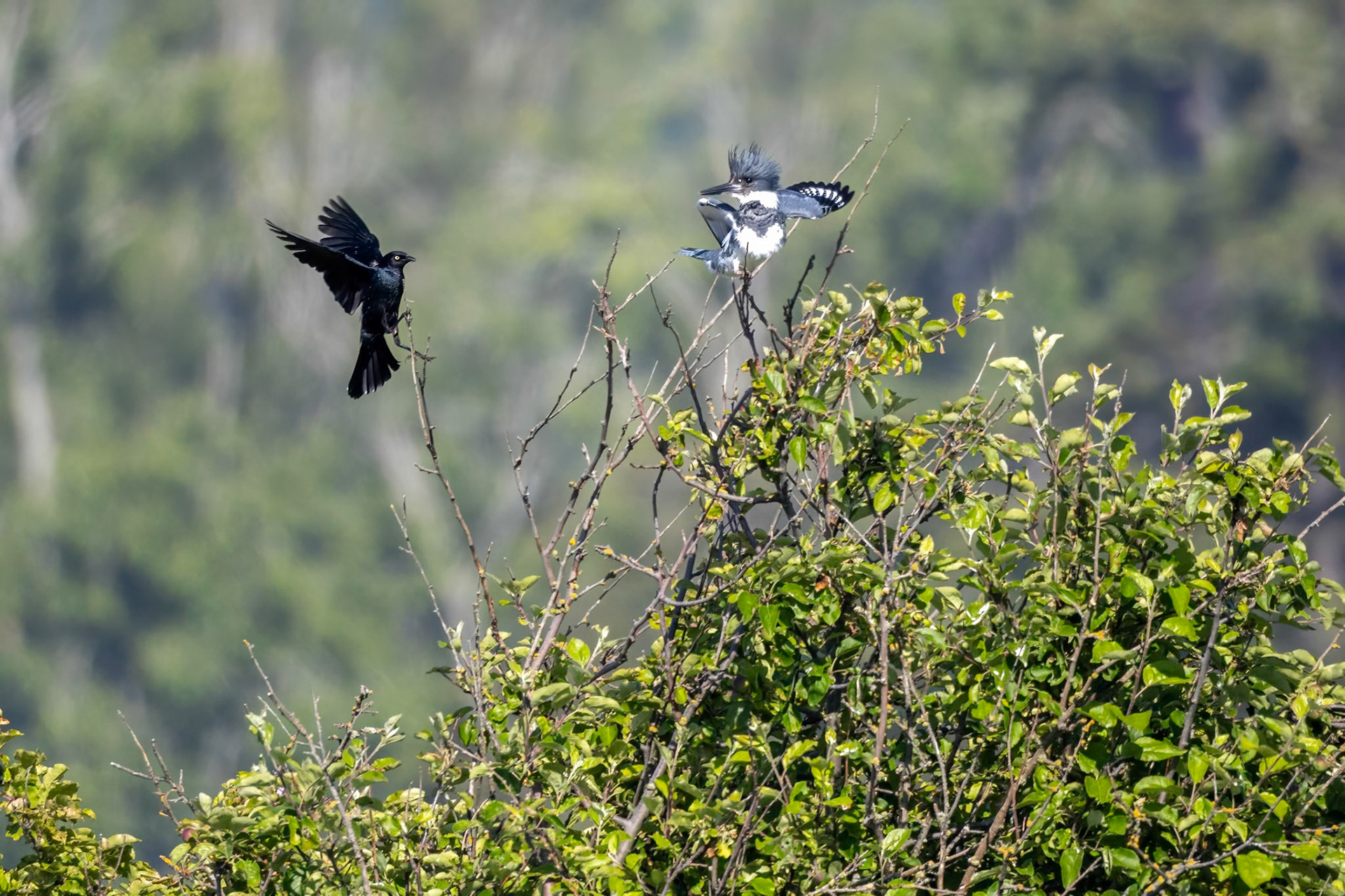 hey there, my space!