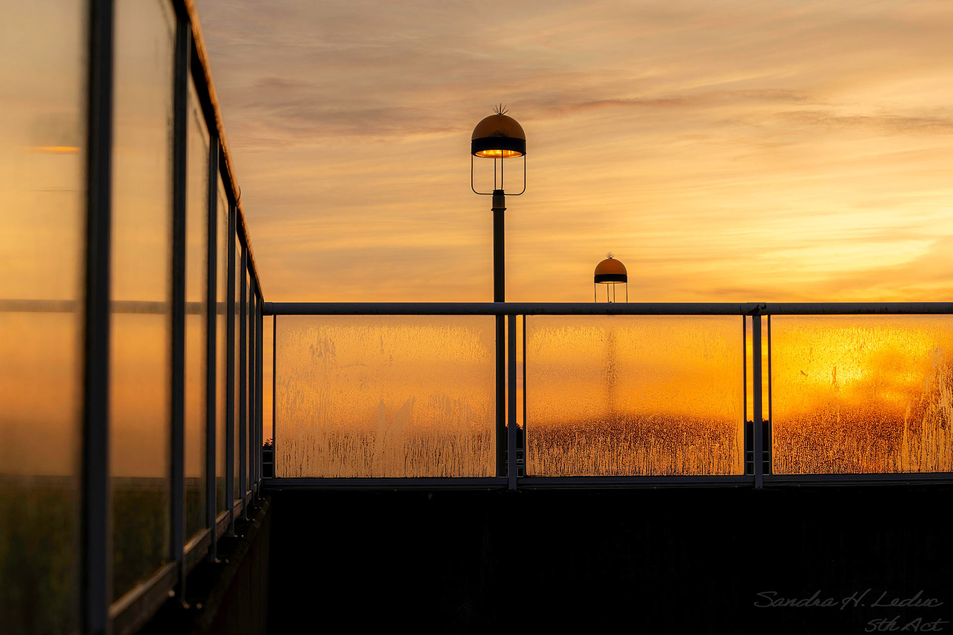 TSA Ferry Terminal Sunrise