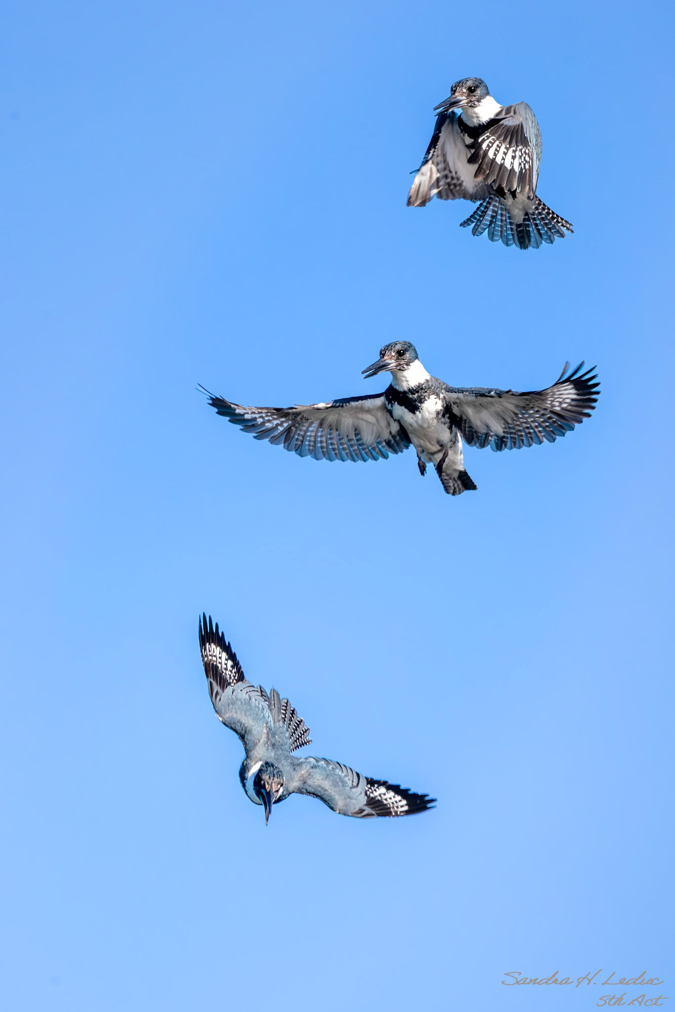 going in for breakfast!