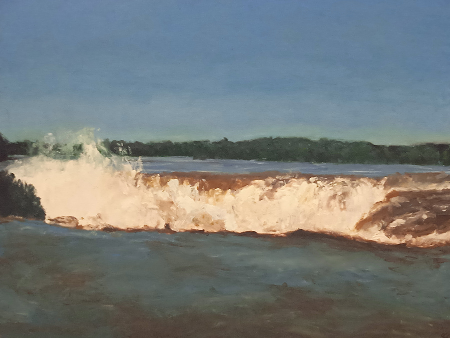 Chute Iguazu, Argentine, huile sur papier, 65x50cm, octobre 2022