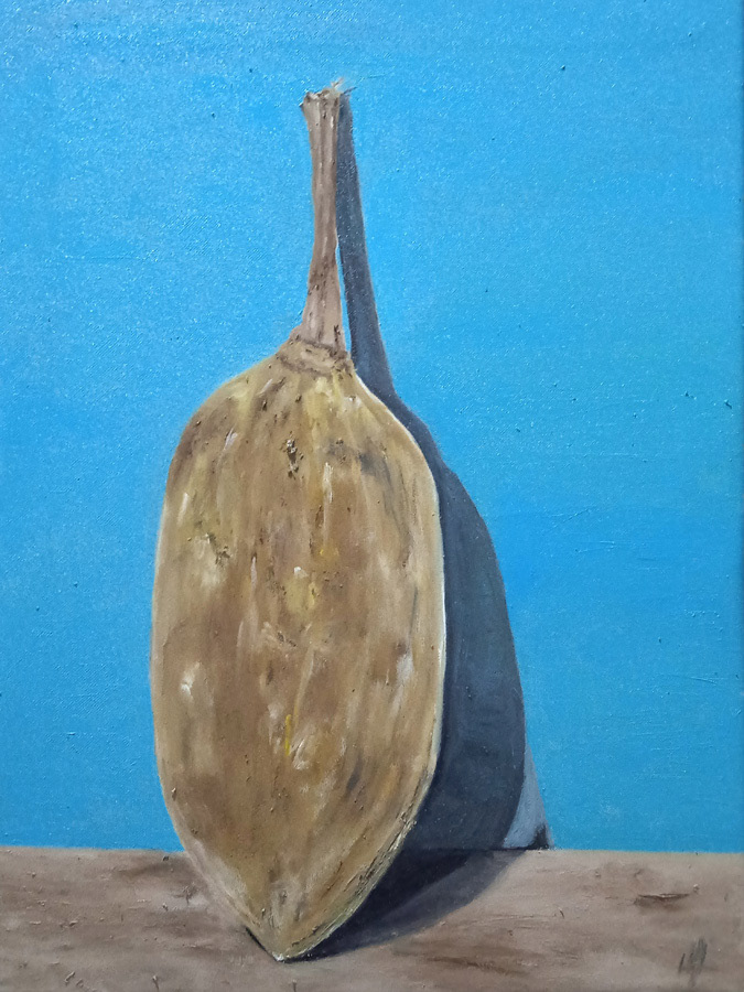 Matunda ya mbuyu, Zanzibar, huile sur toile, 45x60cm, juillet 2023