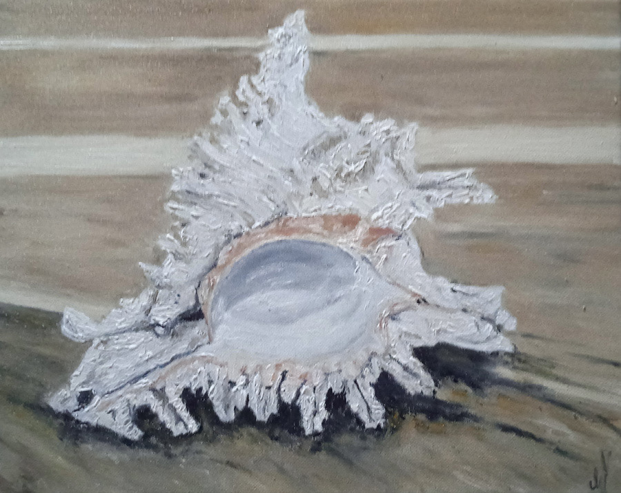 The shell, Zanzibar, huile sur toile, 36x29cm, août 2023