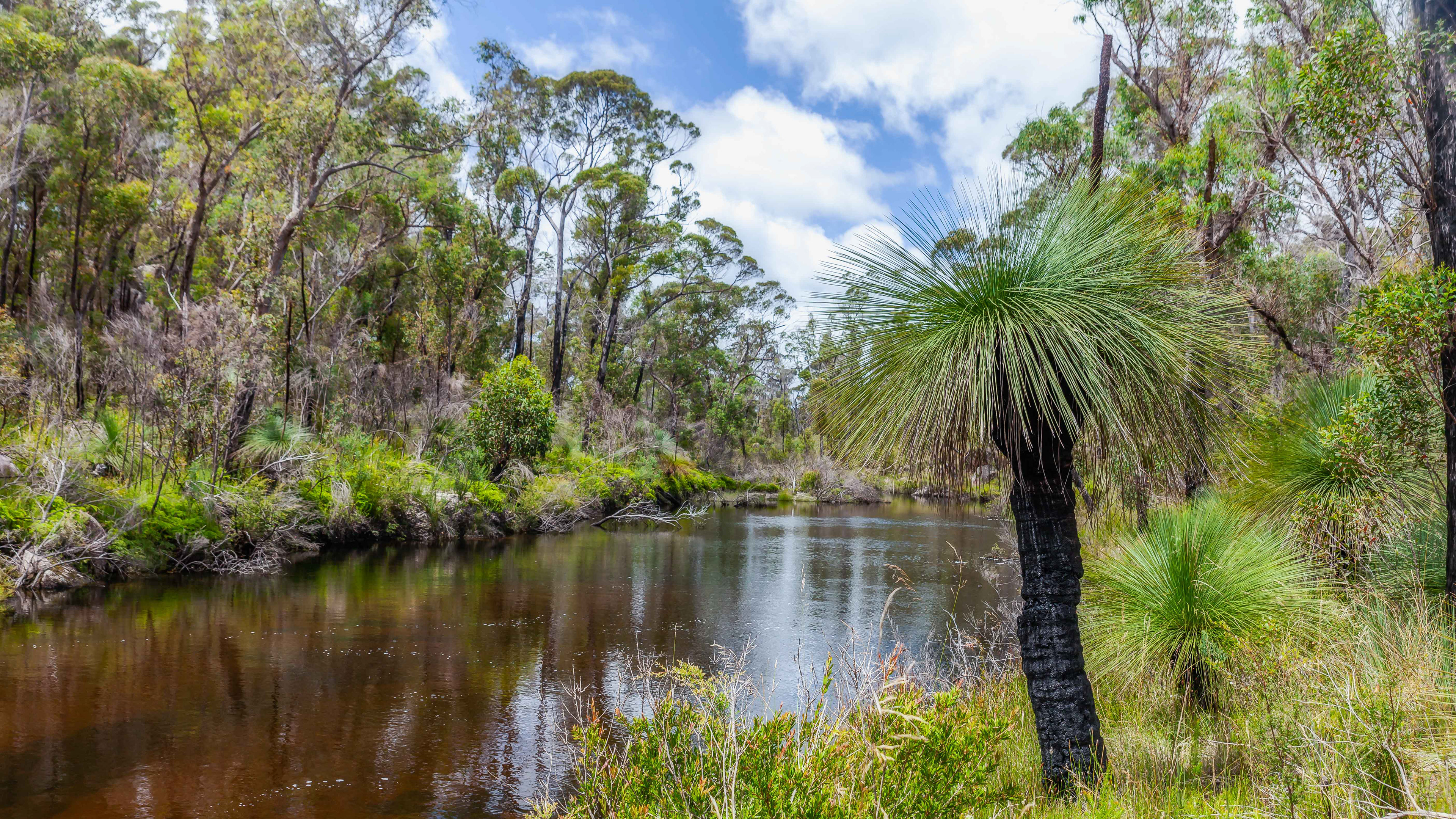 Mulligan's Hut, Gibraltar NP.