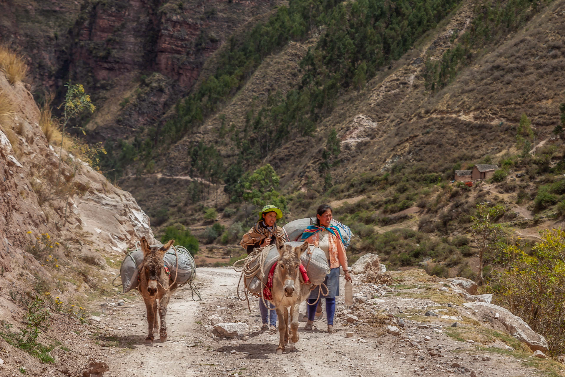 Peru, Macchu Picchu.