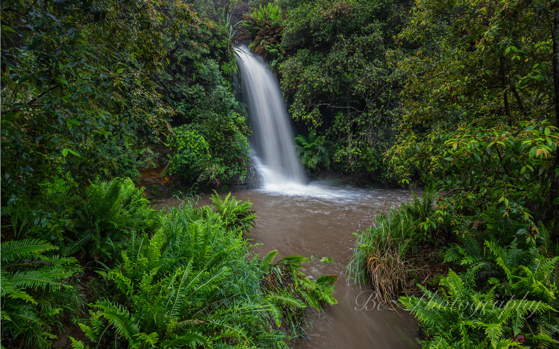 Fairy Dell Falls.